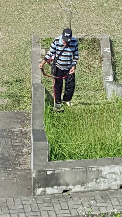 圖片說明